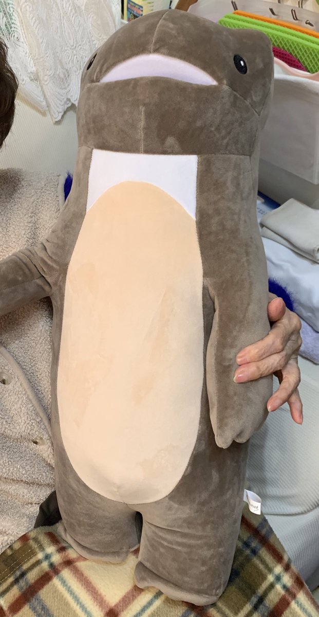 これは爺ちゃん家に根付いたガレヲンぬい
婆ちゃんのお気に入りになったそう 