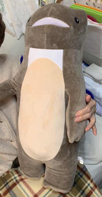 これは爺ちゃん家に根付いたガレヲンぬい
婆ちゃんのお気に入りになったそう 