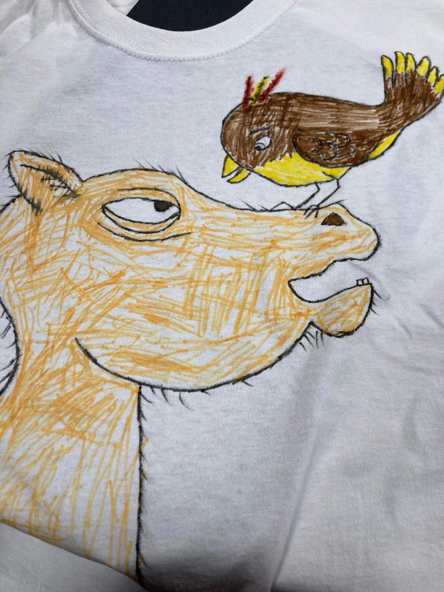 joyroxborough's tweet photo. A little girl was asked to design a T-shirt for World Nook Day, based on her favourite book. She designed this this. How delightful! https://t.co/szG2sndu0H