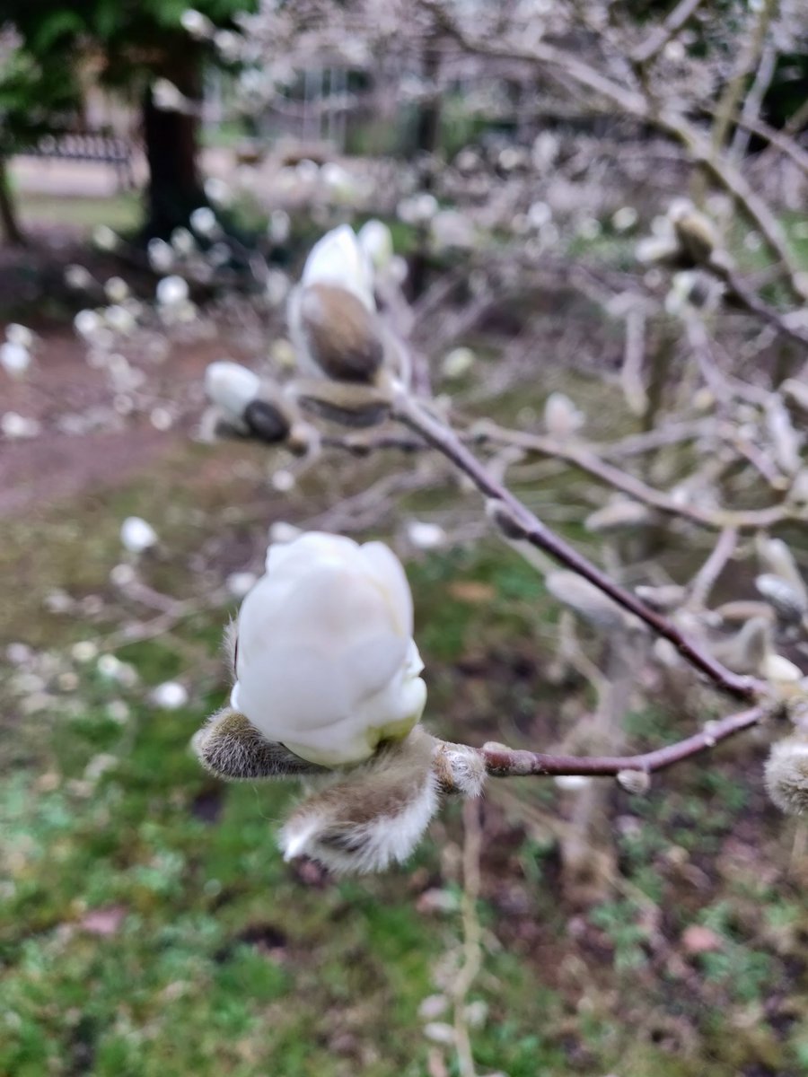 Livinteresting tweet media