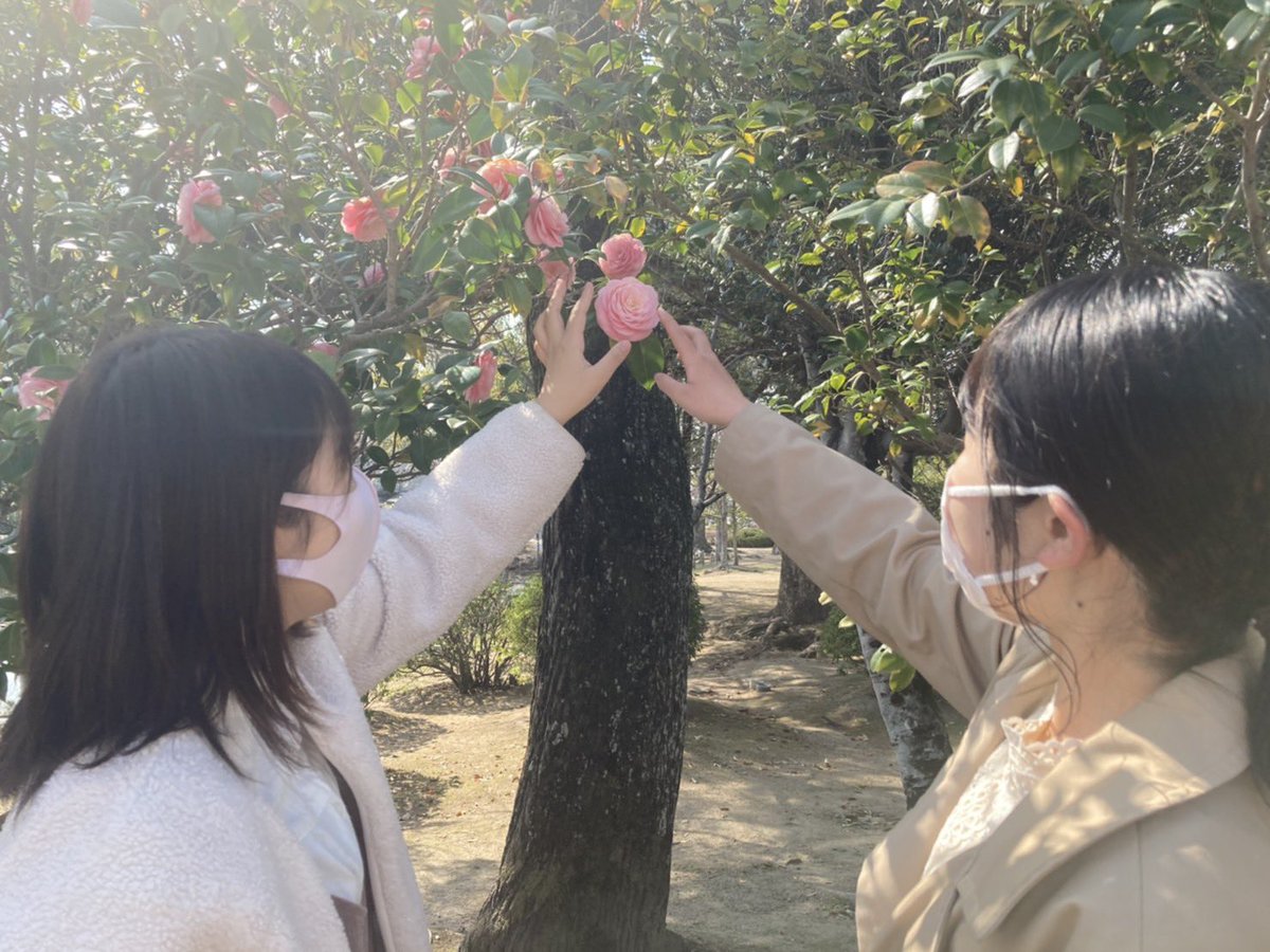 maitoparta1's tweet photo. 〜あの日のまいぱる〜

2年生の春🌸
両手に花とはこのことか…！！ https://t.co/ccgxUxsgwd