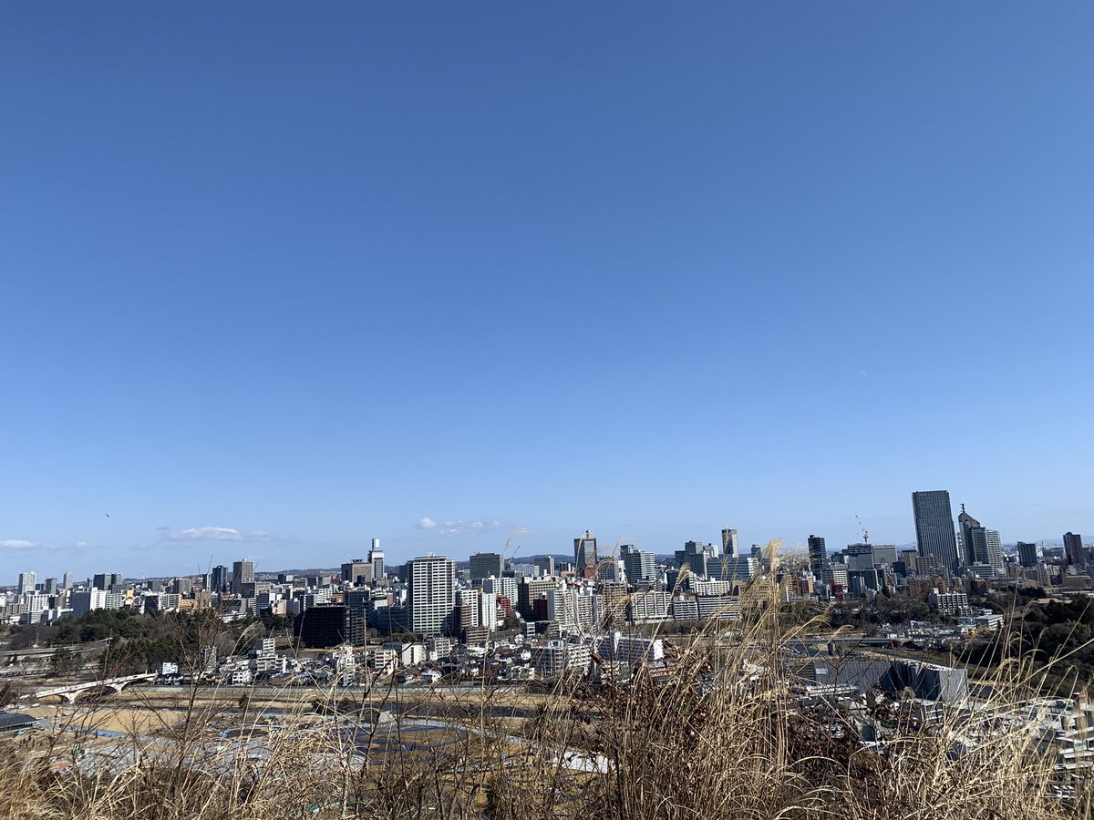 ✨ Nika in Japan ✨ tweet media