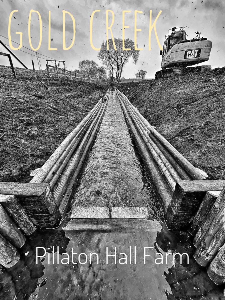 Pillaton Hall Farm tweet media