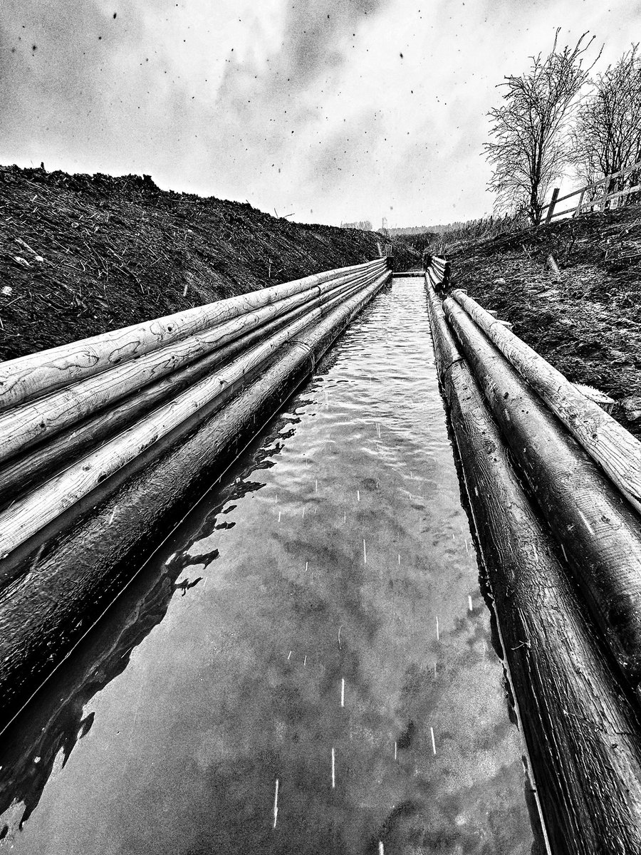 Pillaton Hall Farm tweet media