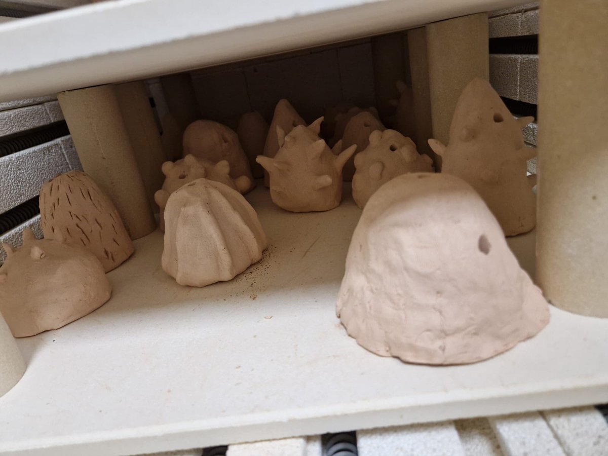 NdhsArt's tweet photo. Our S1 cactus components have survived the kiln 🌵😍 https://t.co/EnrHet97ha