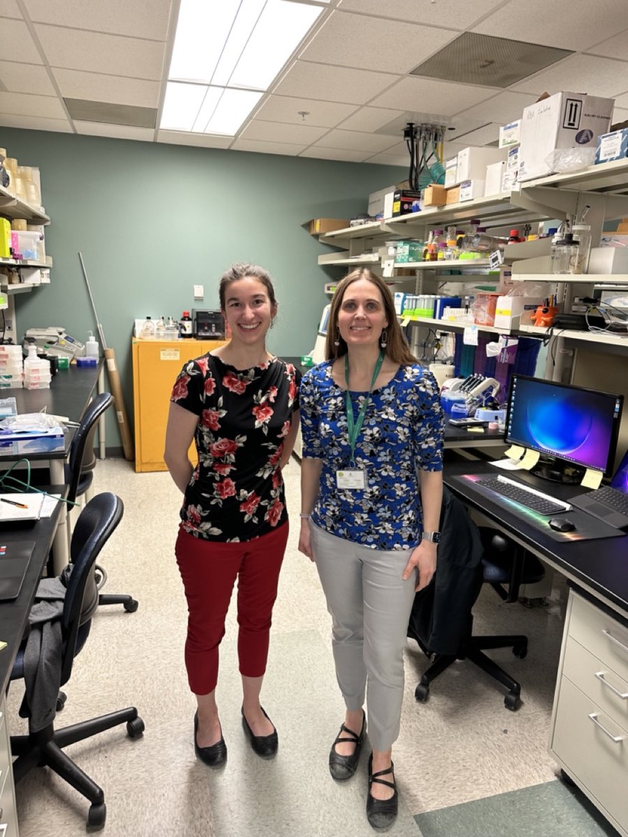 Brian Smith Lab tweet media