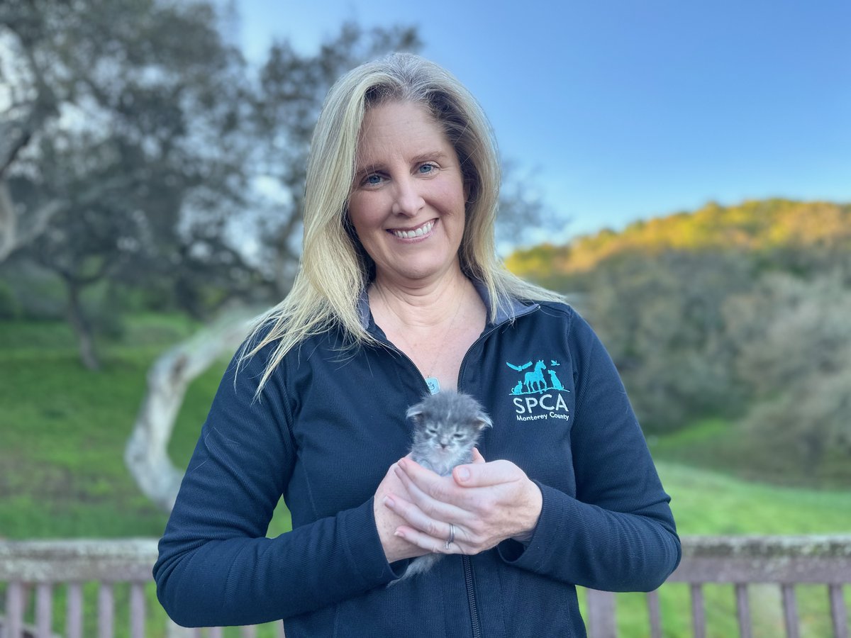 SPCAmc's tweet image. Join us now on @KSBW_8 &amp;amp; Central Coast ABC for A Day of Giving from 6 am - 8 pm to see how your donations help pets in need in Monterey County! Thank you Johnson Electronics, @DavidRioSF, @TitosVodka for sponsoring! #spcamc #DayofGiving
spcamc.org/give-today