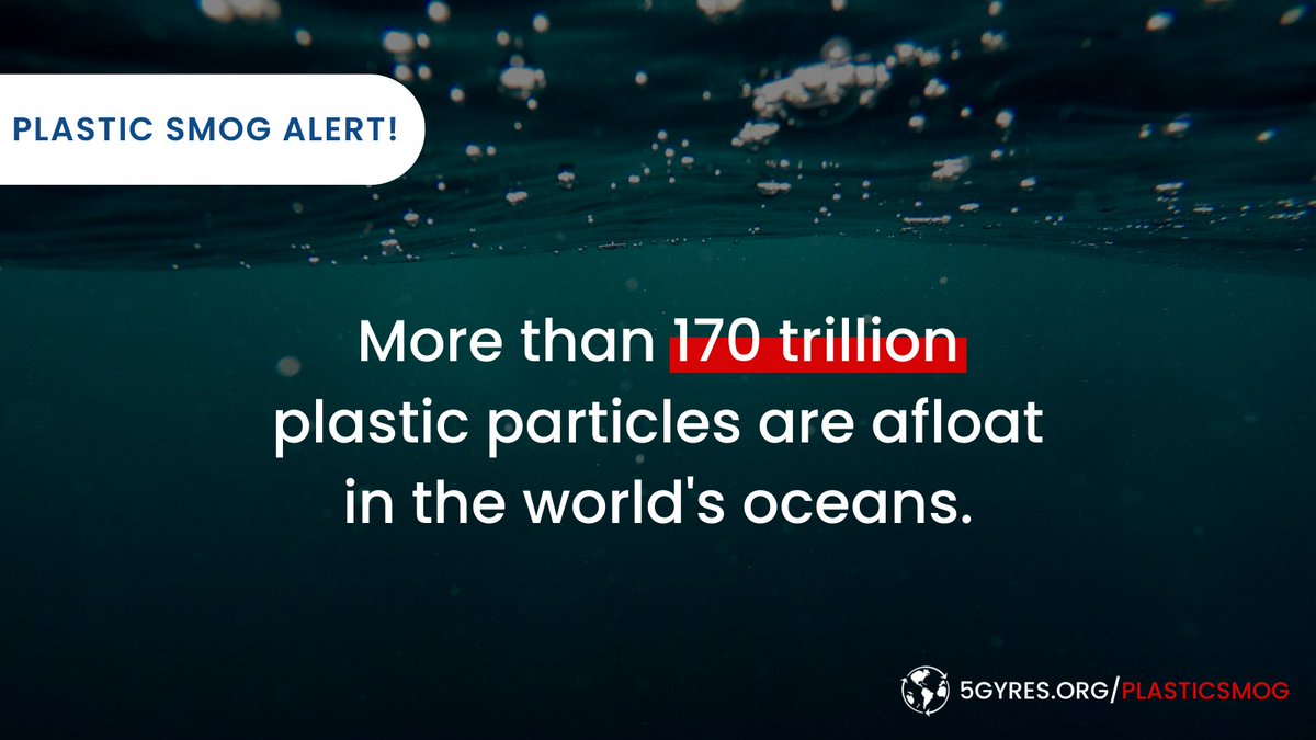 5gyres's tweet photo. (1/2) 🚨BREAKING: A #PlasticSmog, made up of more than 170 trillion particles, is afloat in the world’s ocean. 

Read our research paper on @PLOSONE: https://t.co/E9PAhA9Iso https://t.co/Pw9OtM2LiT
