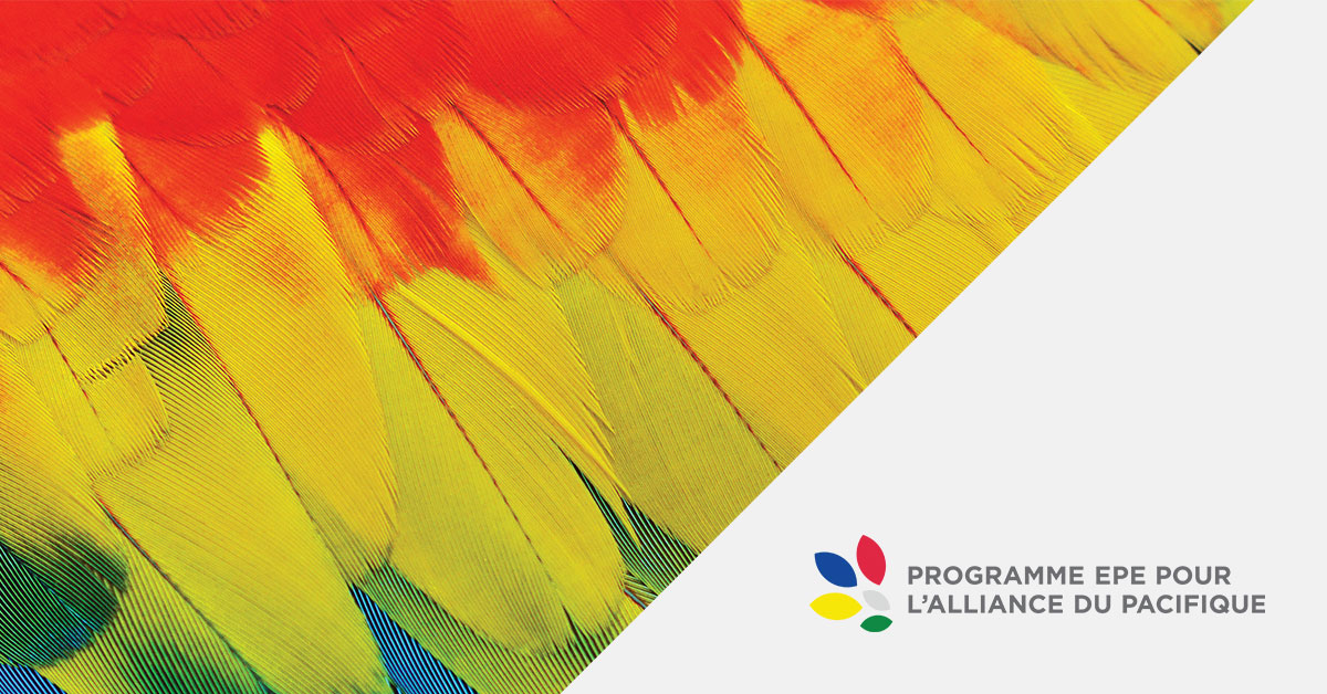 SVQ #ODD5 est l'une des priorités du programme <a href="/CICan_EPE_AP/">CICan_EPE_AP</a>?  Eliana Gallardo Paz, consultante en équité des sexes et inclusion, envoie un message pour la #JourneeInternationaleDelaFemme. #JIF2023

Regardez : collegesinstitutes.sharepoint.com/:v:/g/extcolla…