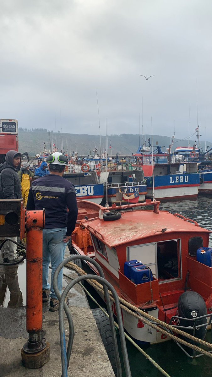sernapesca's tweet photo. #Biobío: intenso trabajo en el puerto de Lebu con la reactivación de captura de Jibia. Los desembarques de este recurso los realizan exclusivamente embarcaciones con el arte de pesca potera, y su destino es la comercialización a plantas que procesan para exportación. https://t.co/TCU4ONNSxr