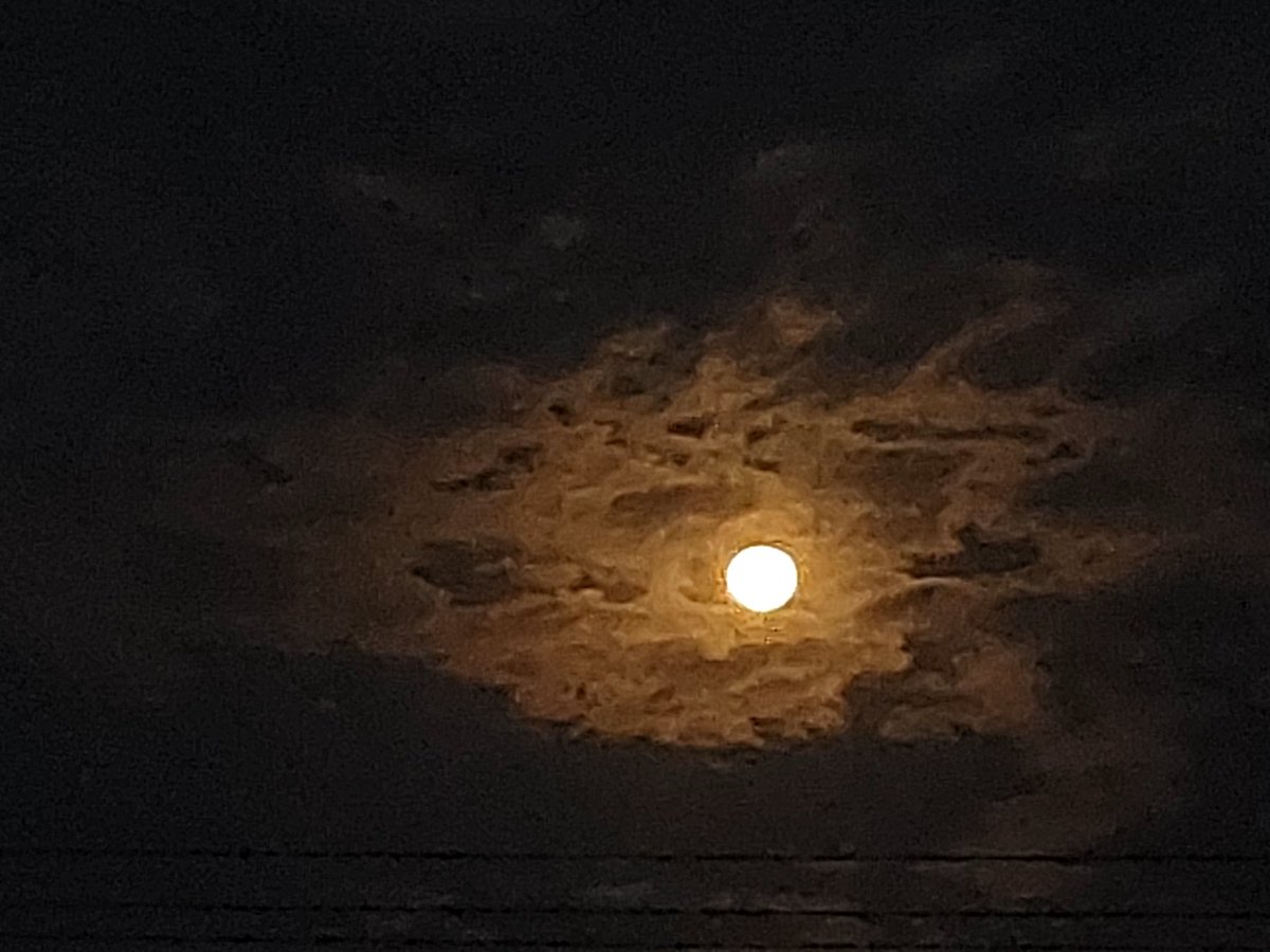 i thINk D4 i AM tweet media