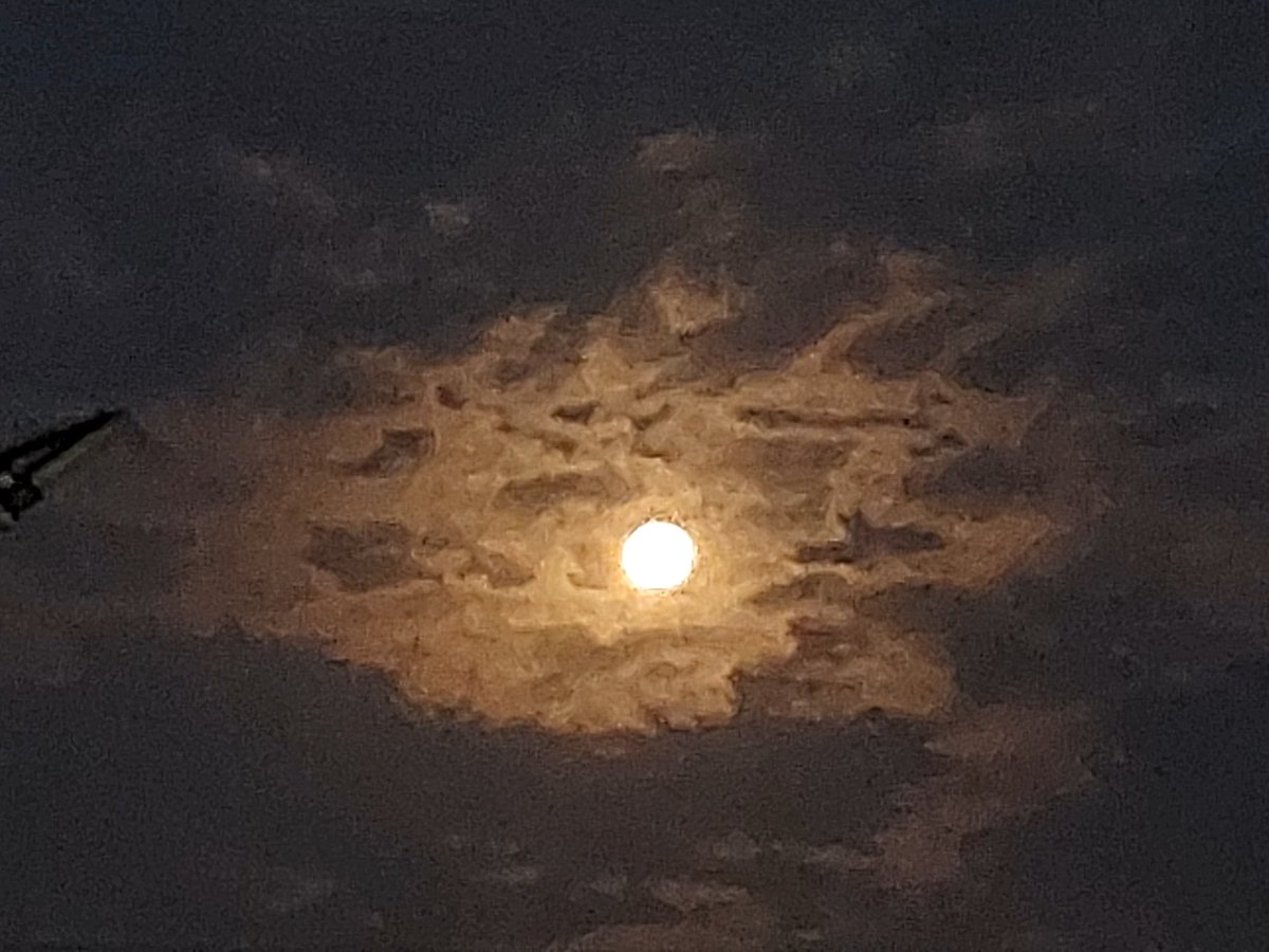 i thINk D4 i AM tweet media