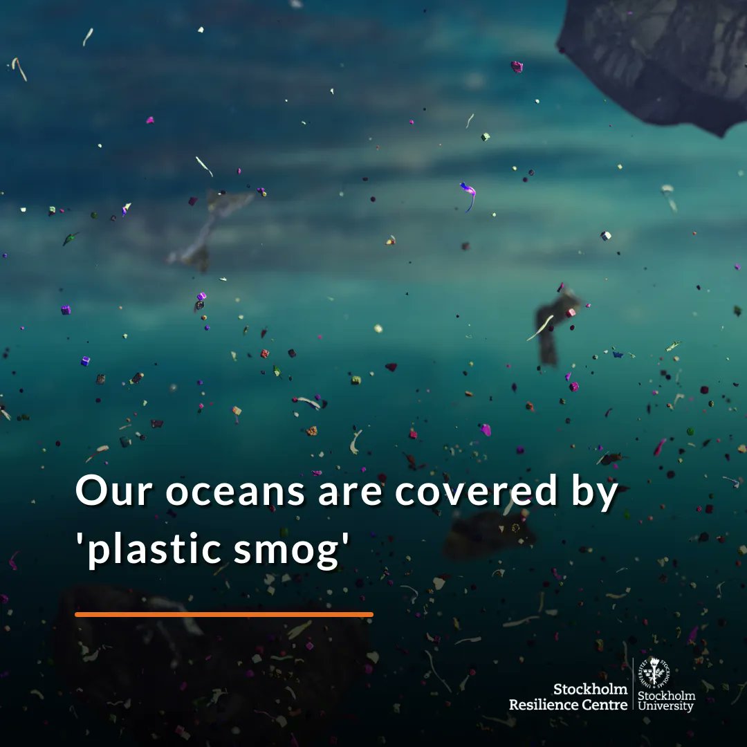 More than 170 trillion microplastic particles are floating in the World’s oceans, a new study in the journal <a href="/PLOSONE/">PLOS One</a> finds.

“The situation is much worse than expected” says centre researcher @PatiVillarrubia who is one of the co-authors.

Learn more: buff.ly/3F3iTfV