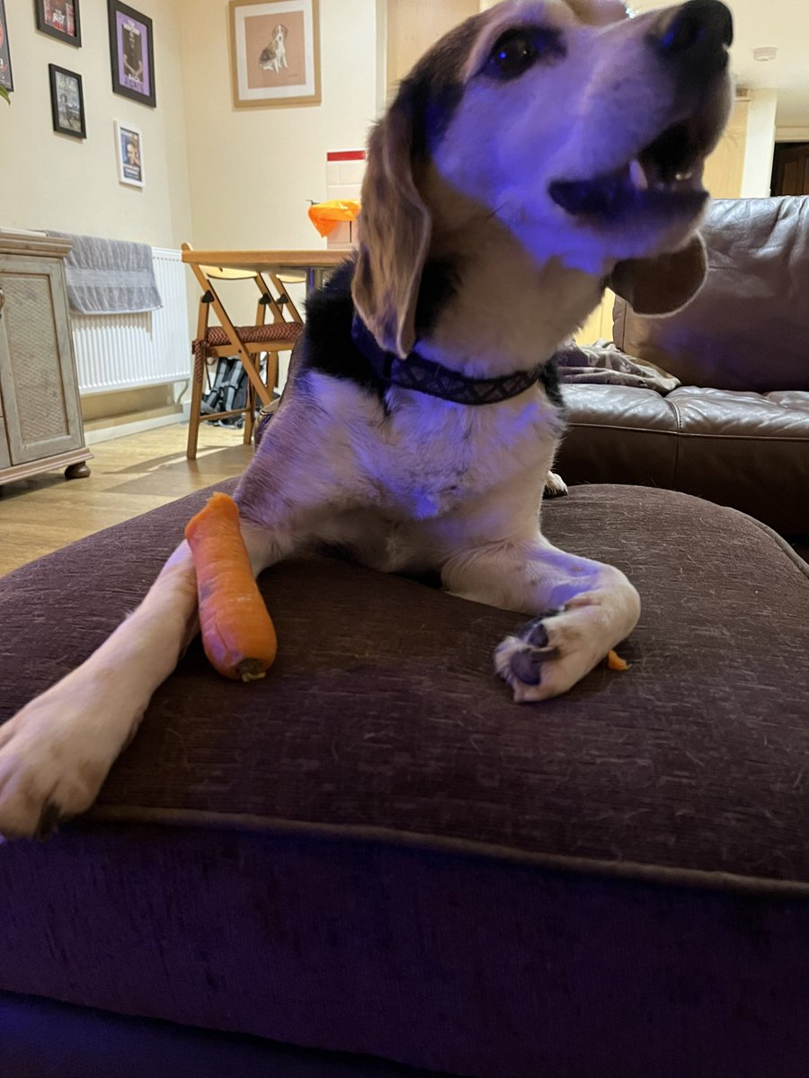 Pops is cookin…Pops dropped a 🥕 

Snooze yoos loose 😋😋🥰