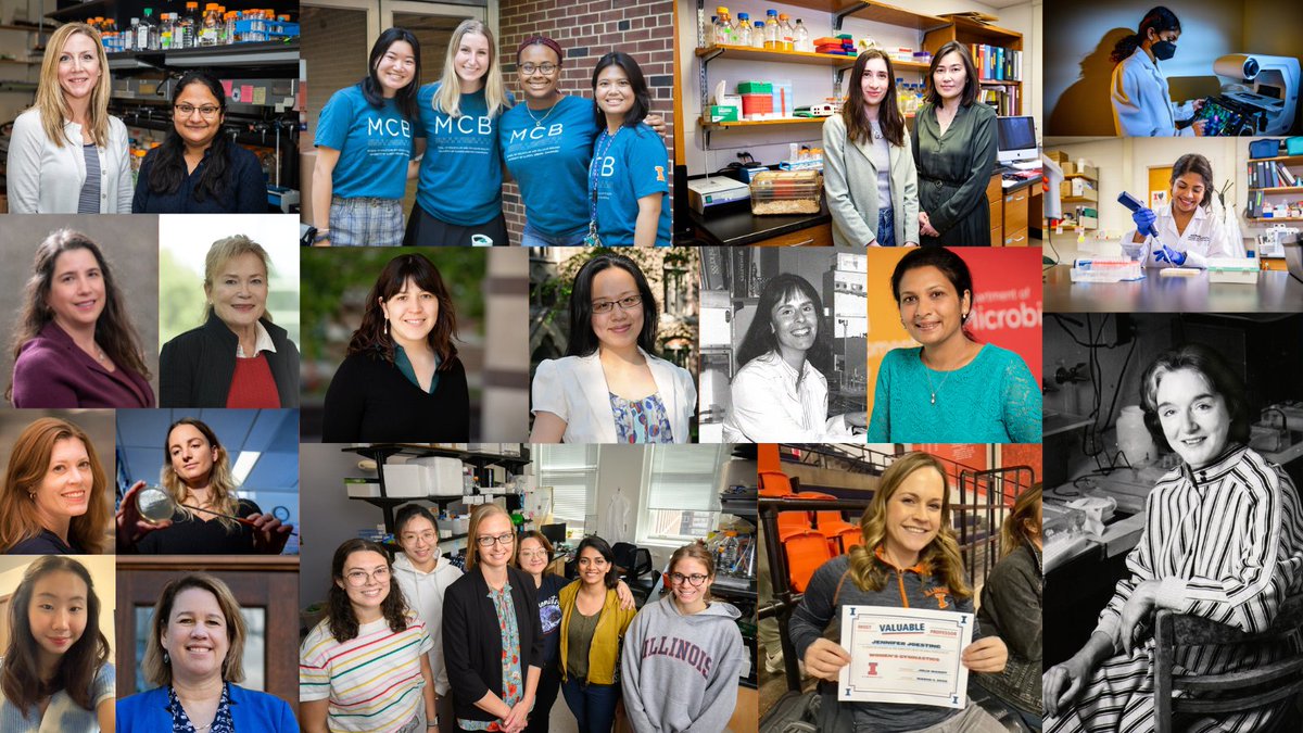 MCB_Illinois's tweet photo. Happy International Women's Day!! On this 
day and every day, MCB is proud to celebrate the 
accomplishments of our inspiring, innovative women in our labs, academia, health care, industry and beyond!

#InternationalWomensDay #Illinois https://t.co/GRoq0GD0nm