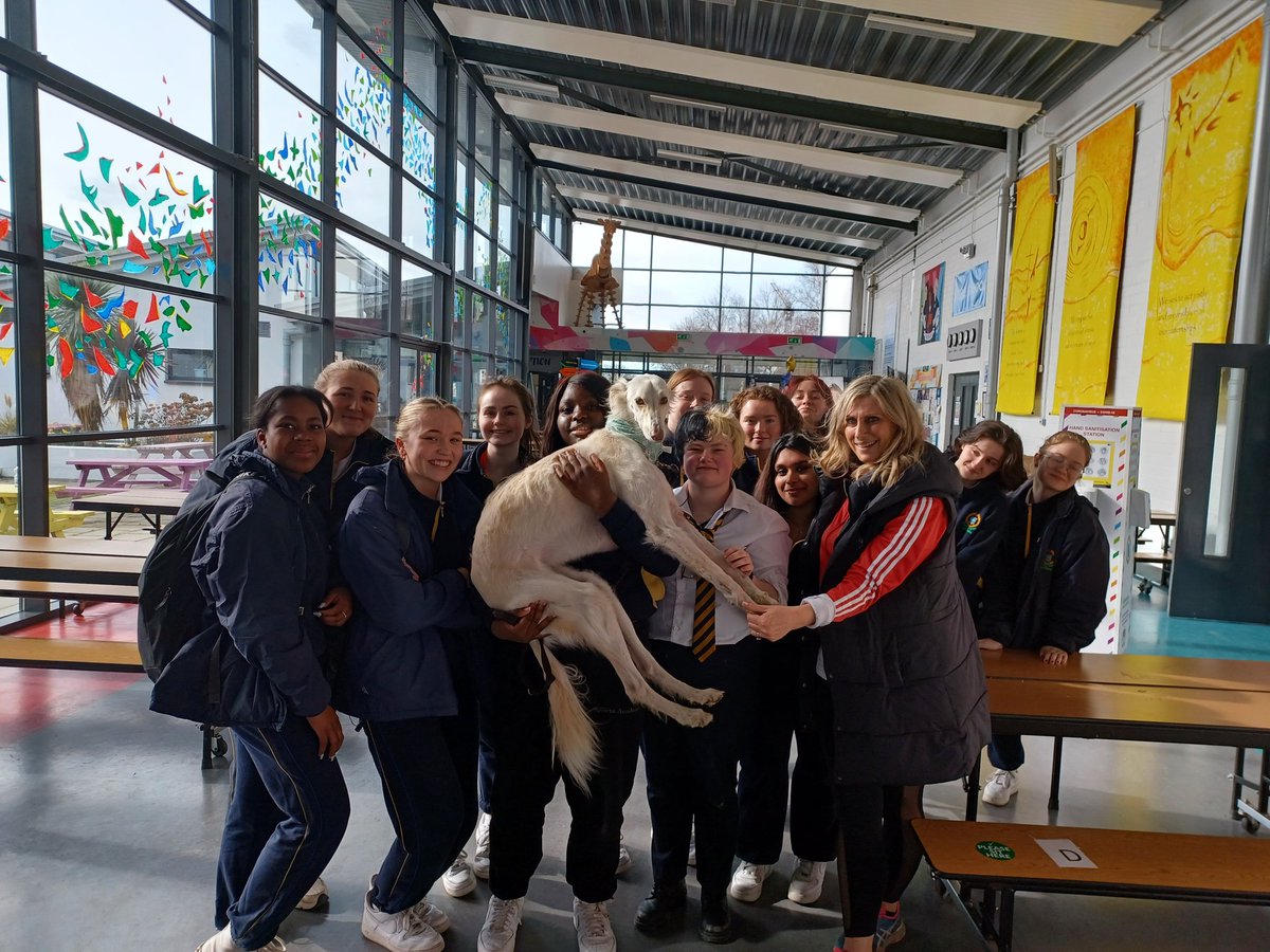 6th years enjoying CB Doggie day today for #wellbeingweek. @Colaistebride