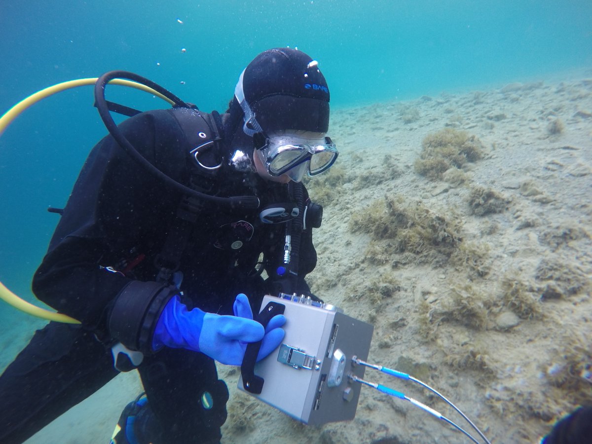 Ocean Networks 🇨🇦 tweet media