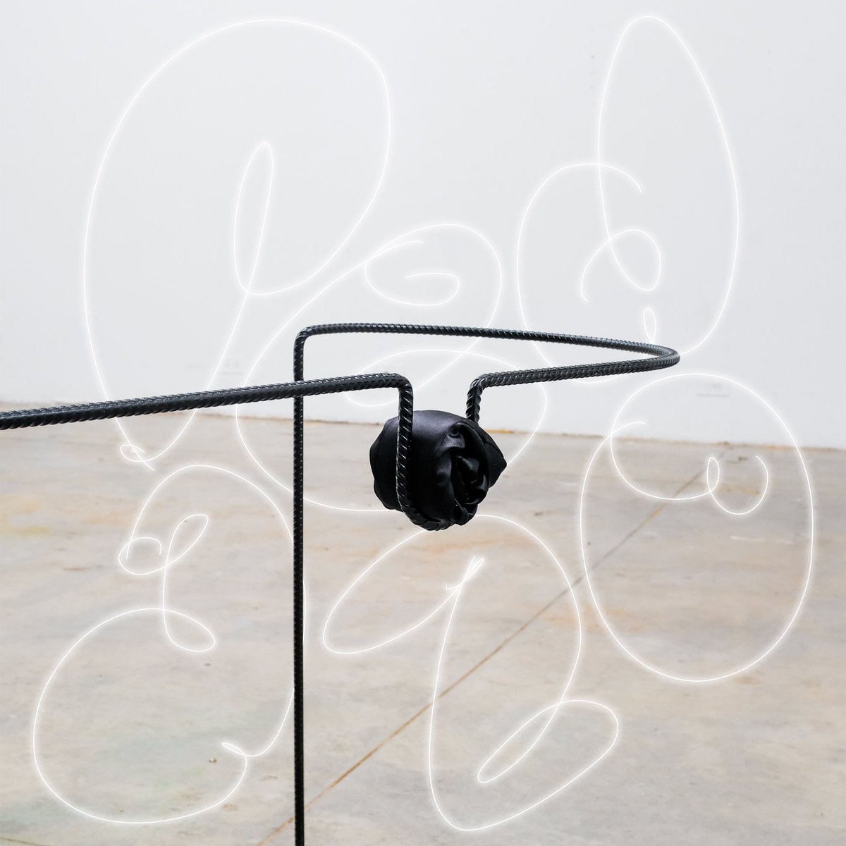 Lewis Del Mar tweet media