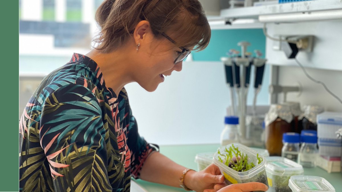 As a former member of the @DolanLab, postdoc Susanna Streubel investigated the molecular mechanisms that regulate plant development, with a particular focus on the role of transcription factors and microRNAs in the development of Marchantia polymorpha. <a href="/sustreubl/">Susanna Streubel</a>