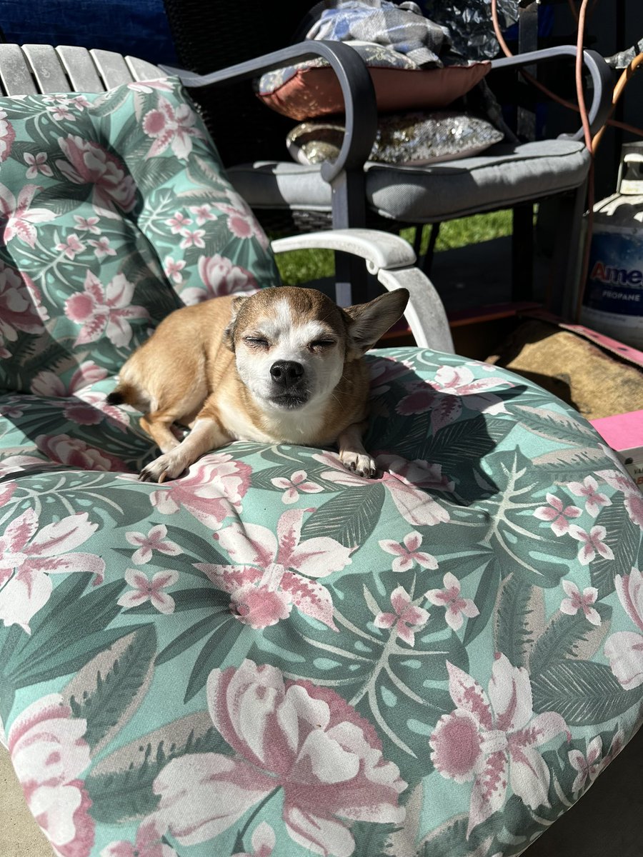 PopPrismPower tweet media