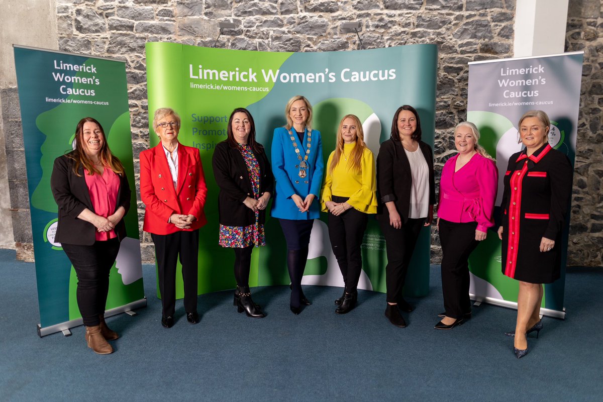 Limerick Women's Caucus tweet media