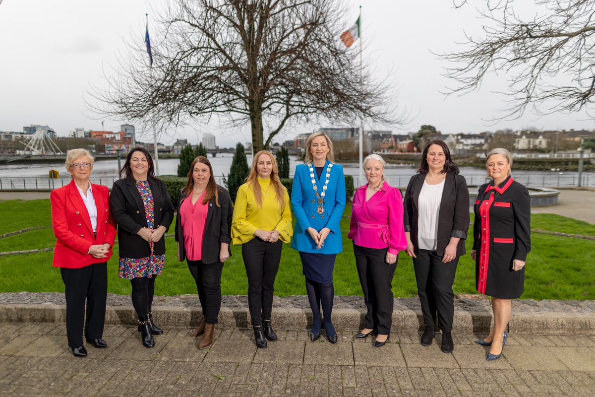 Limerick Women's Caucus tweet media