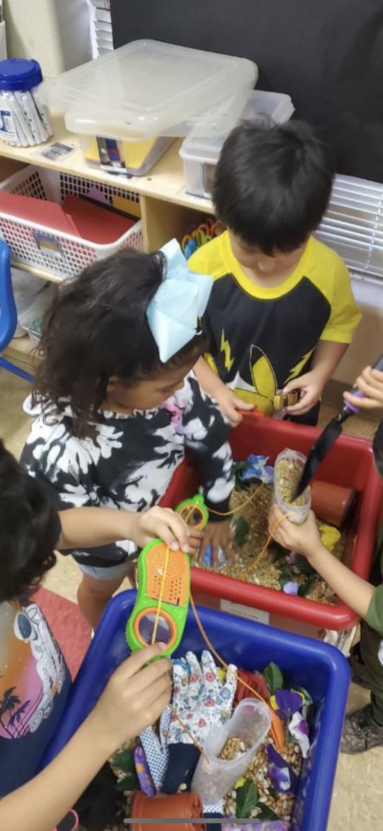 Learning all about insects in PreK! The kiddos love their “Busy Bee Cafe, taking an extra close look at different insects, counting lady bugs 🐞, and exploring garden tools! <a href="/FrogStreet/">D Li</a> <a href="/SsaisdPaloAlto/">SSAISDPaloAltoES</a> <a href="/ssaisd/">South San Antonio ISD</a>
