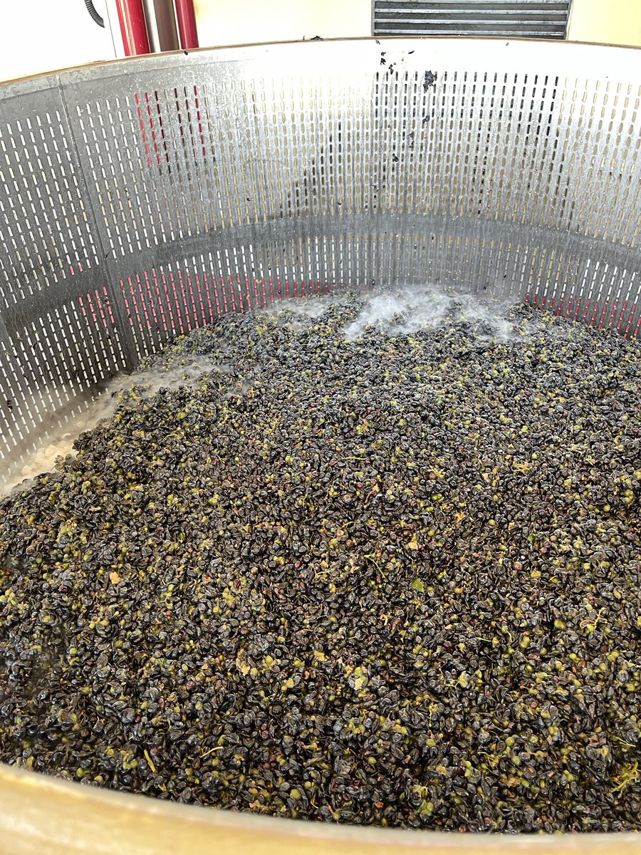 Finca Decero tweet media