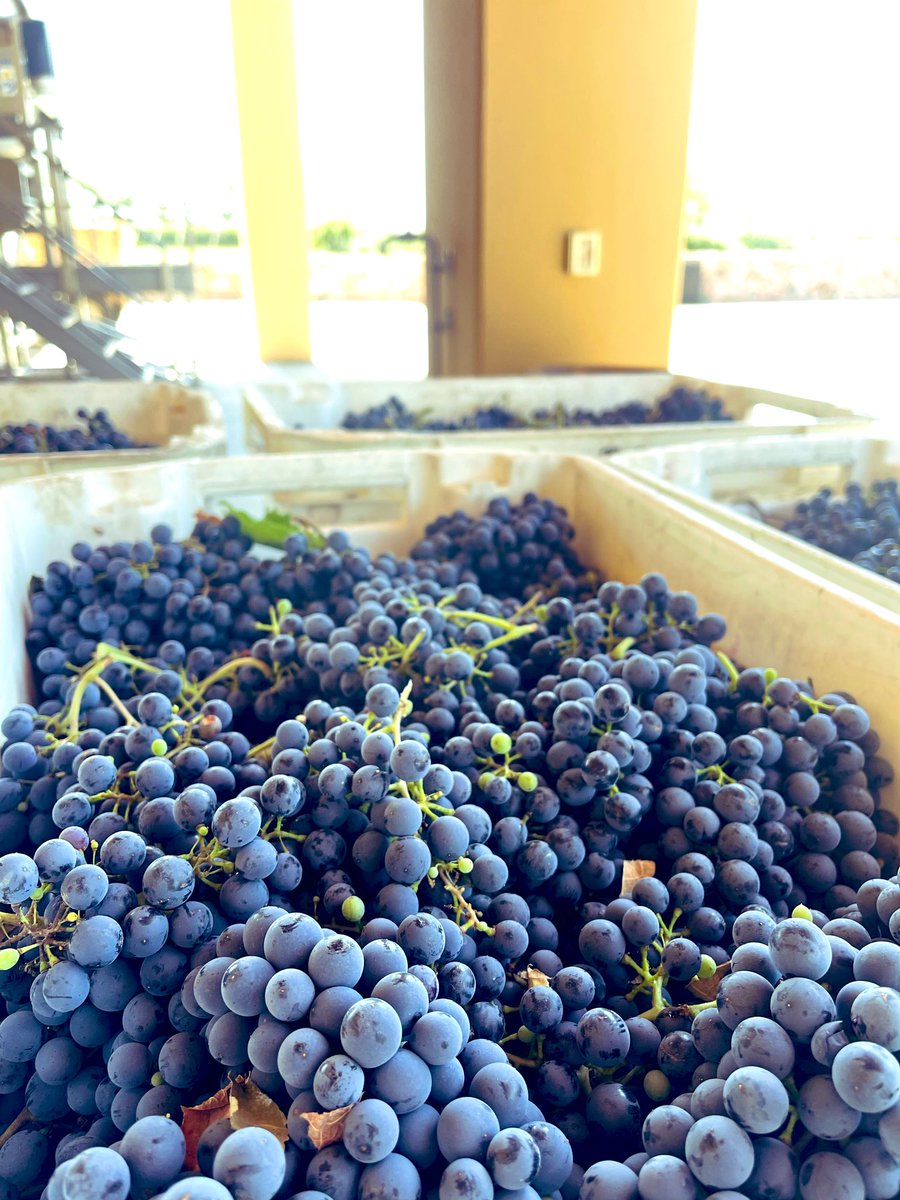 Finca Decero tweet media