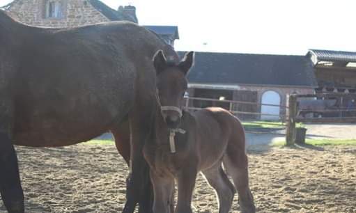 EAurmath's tweet image. Voici la newsletter du mois est disponible ecurieaurmath.com
N'hésitez pas à partager 🙏
Bonne lecture