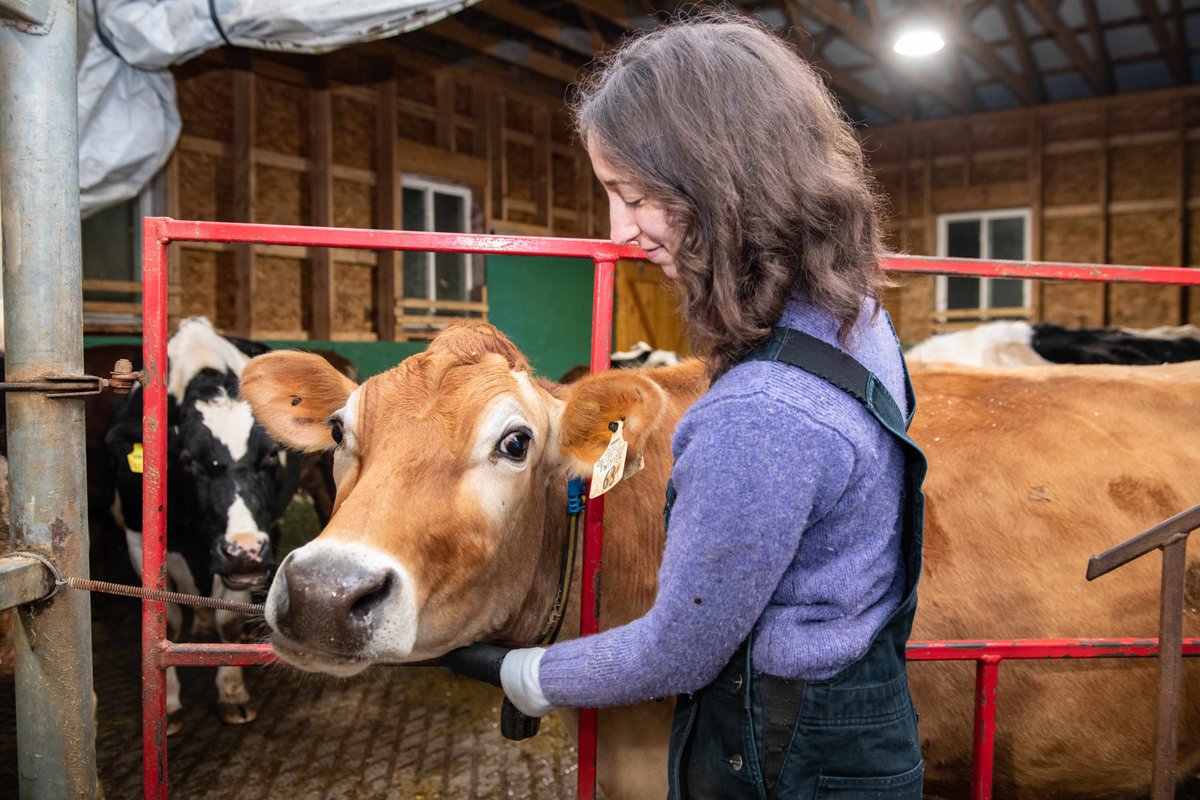 Wolfe's Neck Center tweet media