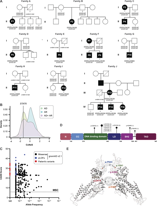 Journal of Experimental Medicine (@jexpmed) on Twitter photo International collaborative team discover that gain-of-function variants in STAT6 explain some cases of severe, early-onset allergic disease: bit.ly/3J81uEa
@Turveylab <a href="/casanova_lab/">Casanova Lab</a> <a href="/dan_leung_/">Daniel Leung</a> <a href="/BeziatV/">Vivien Béziat</a> <a href="/IsabelleMeyts/">Isabelle Meyts</a>
#allergies #immunodeficiency International collaborative team discover that gain-of-function variants in STAT6 explain some cases of severe, early-onset allergic disease: bit.ly/3J81uEa
@Turveylab <a href="/casanova_lab/">Casanova Lab</a> <a href="/dan_leung_/">Daniel Leung</a> <a href="/BeziatV/">Vivien Béziat</a> <a href="/IsabelleMeyts/">Isabelle Meyts</a>
#allergies #immunodeficiency