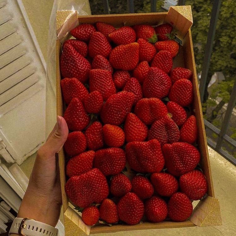 algo mejor q las fresas???