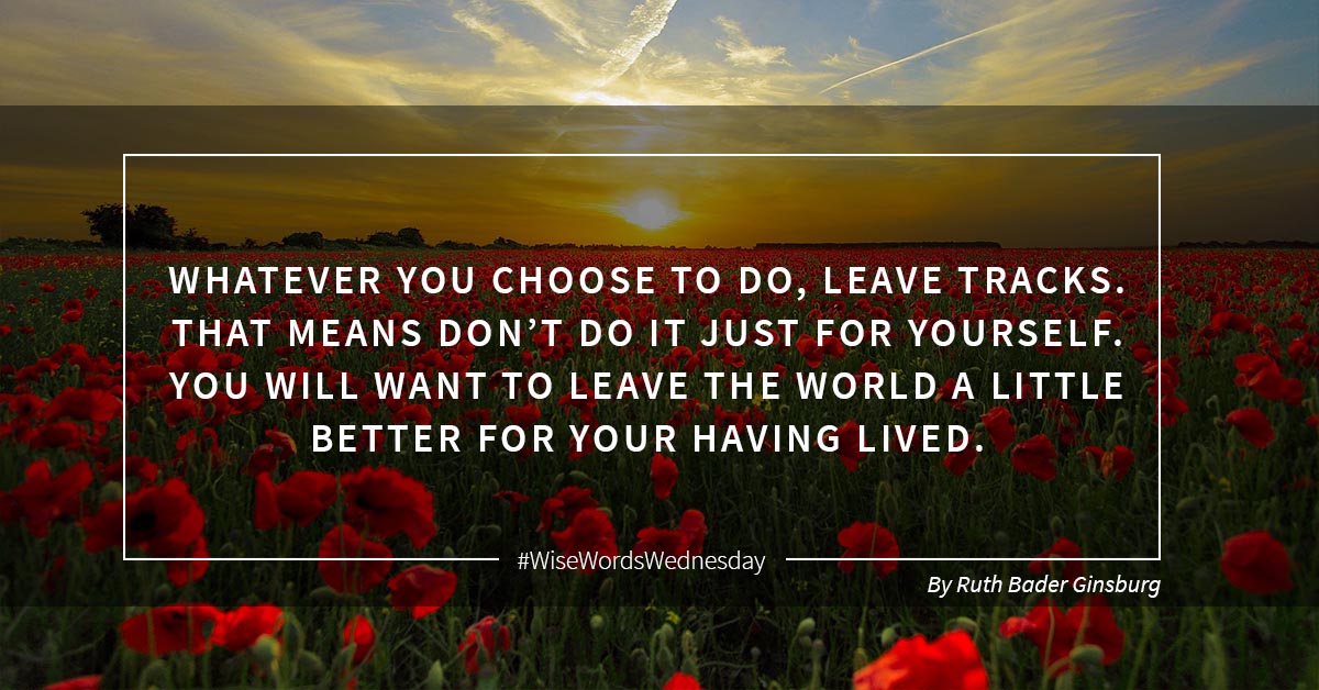 Toledo Law tweet media