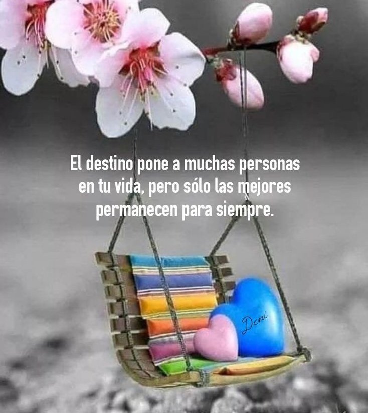 Vamos a esparcir cariño por ahí y ser felices al lado de personas especiales.
<a href="/MkPatriota/">Mildre Patriota</a> @junuger <a href="/SoyYolit2/">Yolimar</a> <a href="/gipsybell23/">GipsyBell 💞</a> <a href="/greg24853893/">greg</a> 

#ChávezFeminista