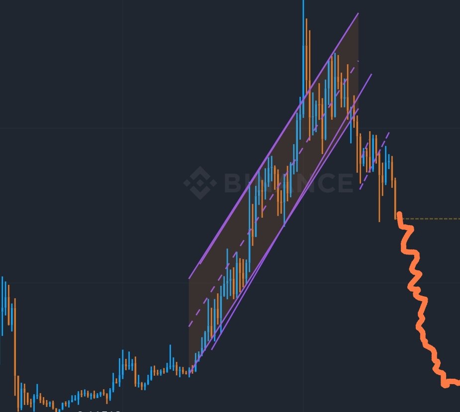 Prof.Noan.Ai 𓃵 tweet media