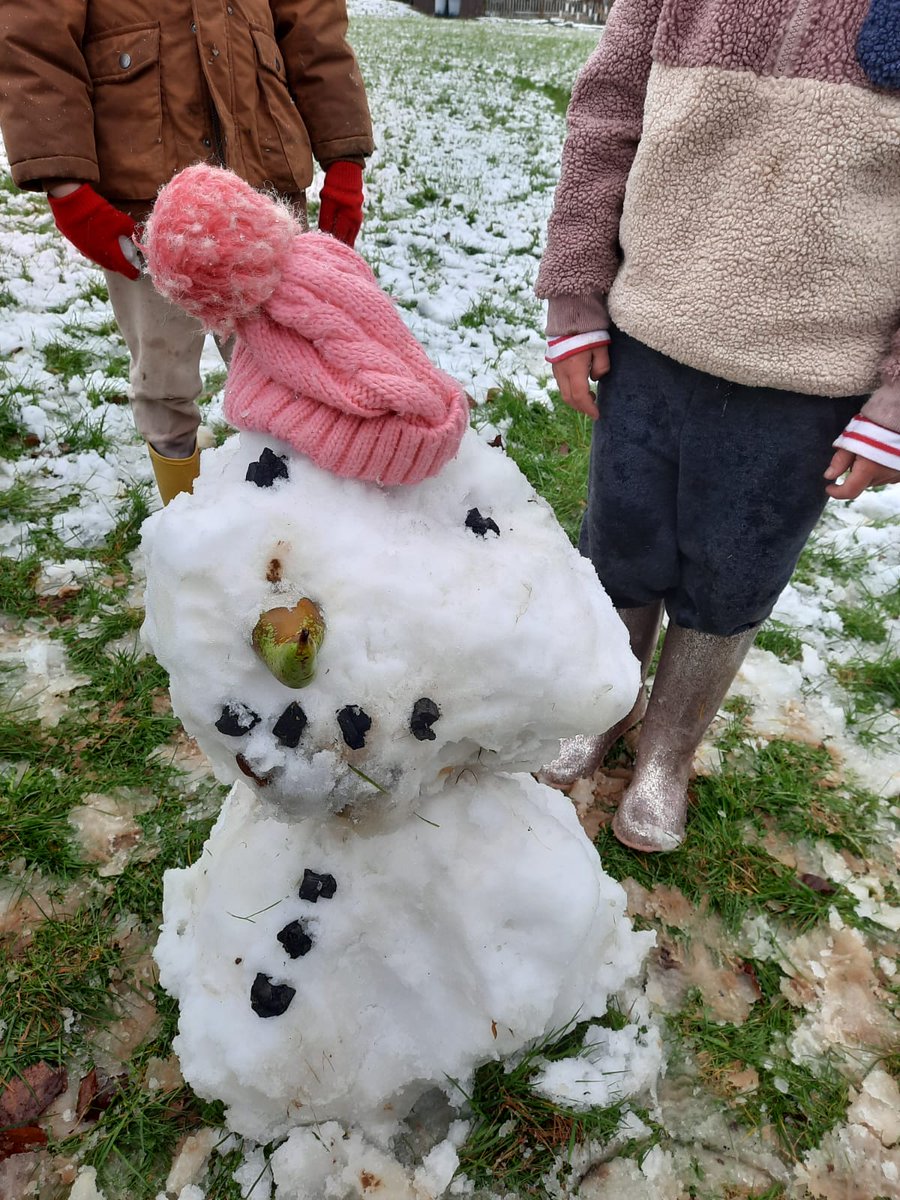 bluebellmatt's tweet image. Some from today from one of our sites...
#OutdoorEdChat 

#forestschool @FSAForestSchool @CLOtC