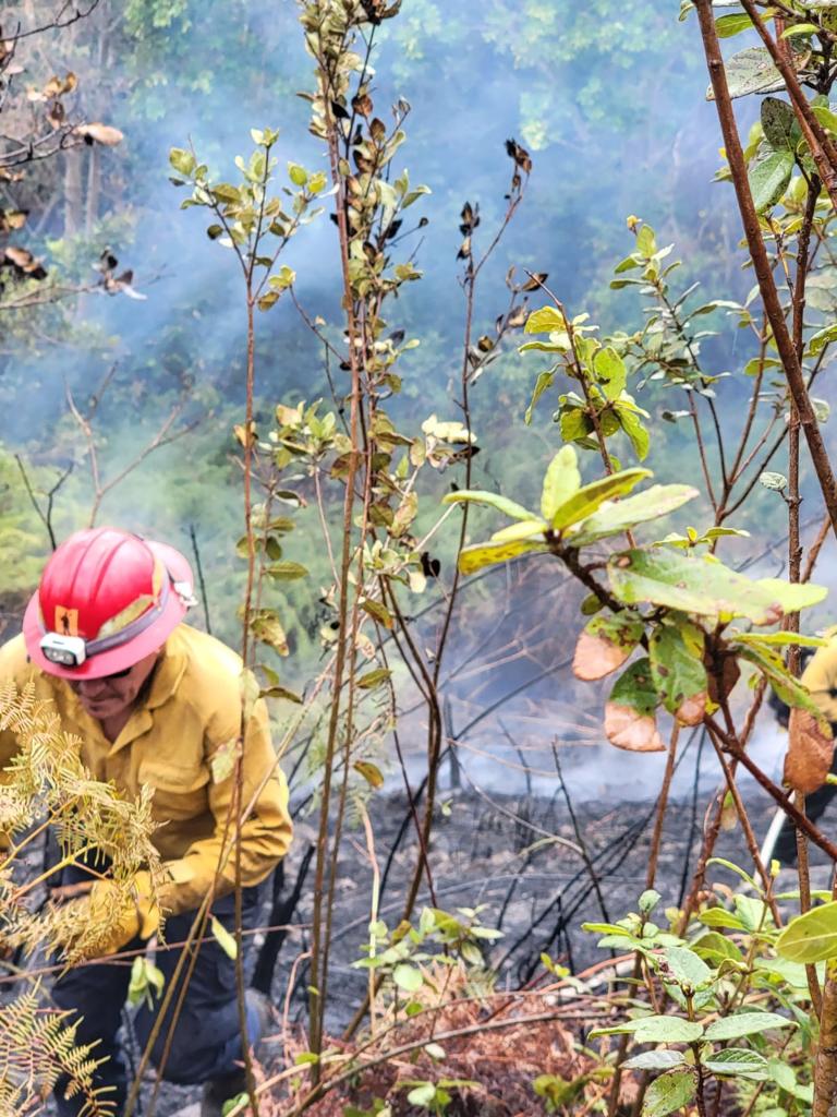 PRNationalGuard's tweet photo. Nuestros helicópteros UH-60, en apoyo al @Bomberos_de_PR han realizado 22 tiros de 600 galones de agua cada uno para un total de 13,000 galones sobre los fuegos forestales en Bosque Estatal de Maricao. La #GNPR ha realizado un total de 54 tiros de agua. https://t.co/hlfmASQxP0