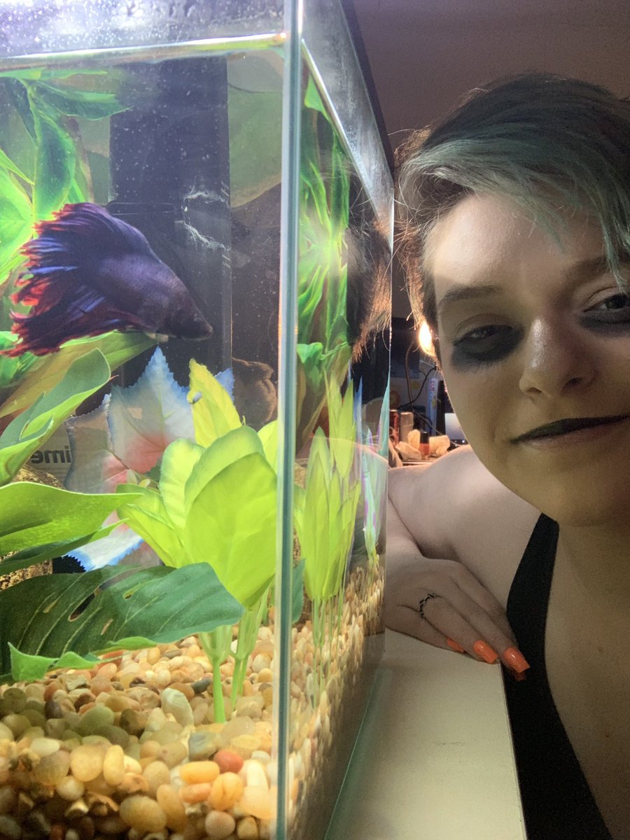 shittycosplayer's tweet photo. @ThomasSanders cosplay selfies ft. Duke (who did not want any part of this) https://t.co/K6o8UPG2LI