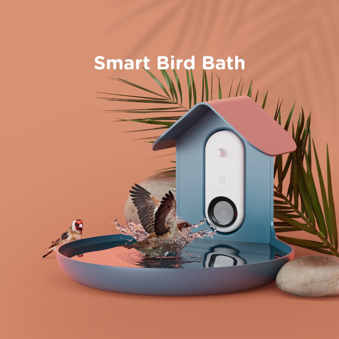 Bird Buddy on X: We are thrilled to reveal the early development