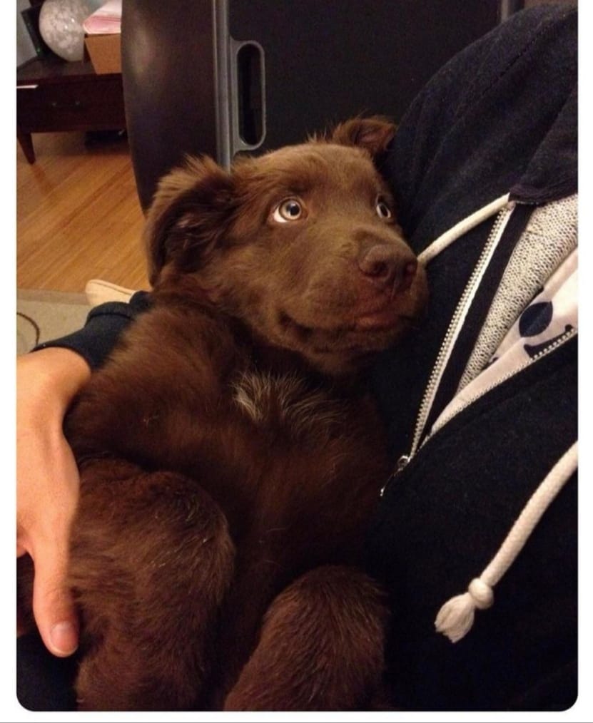 Armando Claymore tweet media