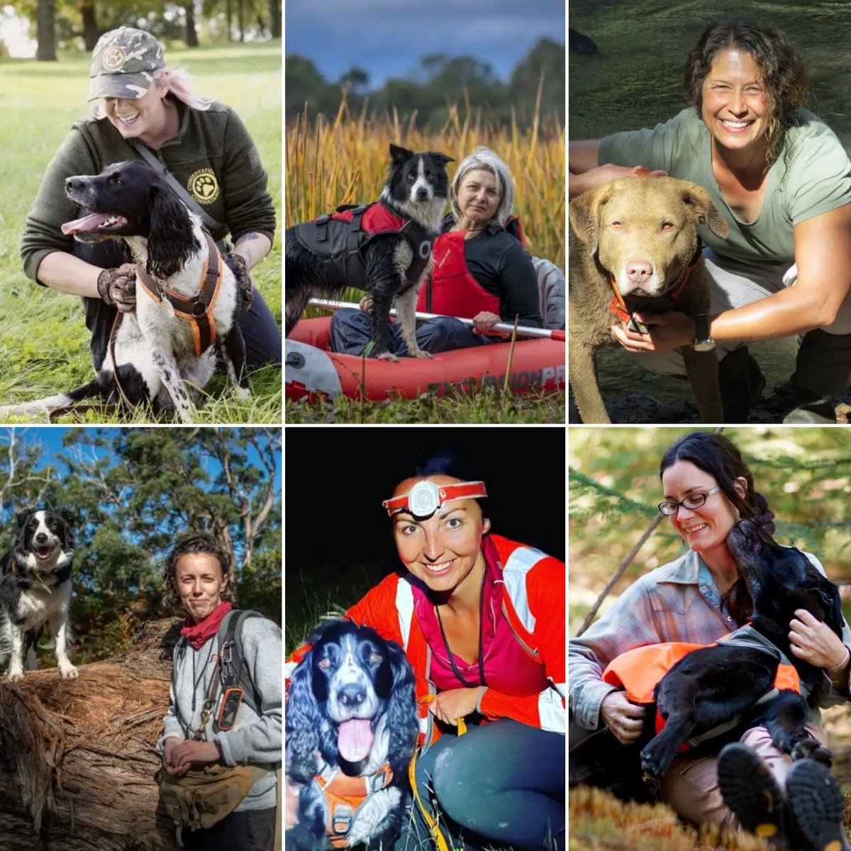 Today is #InternationalWomensDay! ✊🏾 to these #FemaleK9Handlers, vanguards for #WildlifeConservation utilizing #ConservationDogs around the world: @Vk9consultant, @SkylosEcology, Dr. DeMatteo, N. Glover, & our very own, J. Hartman. 🌏🐕‍🦺 #WomenInConservation #WomensDay2023