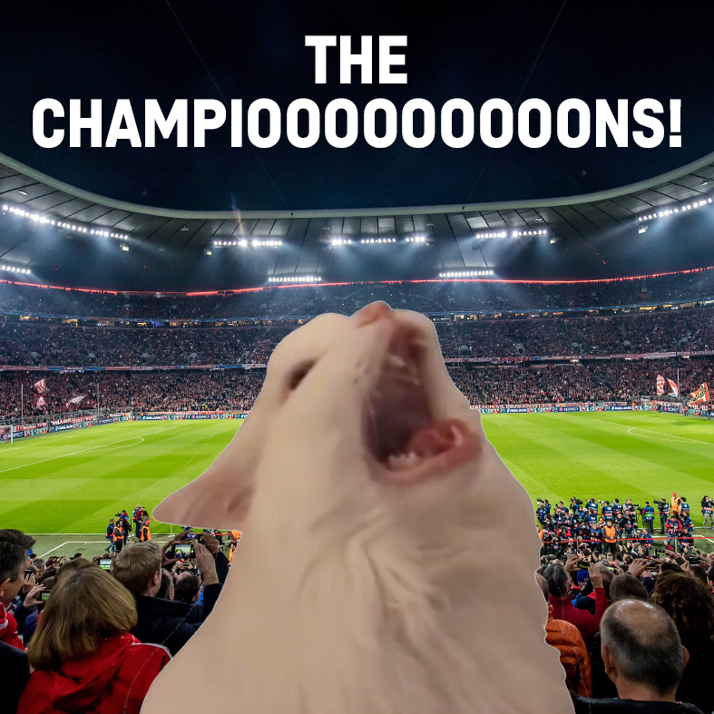 🎶 Die Meister! Die Besten! Les grandes équipes! ... 🎶
 
#packmas #FCBPSG #UCL