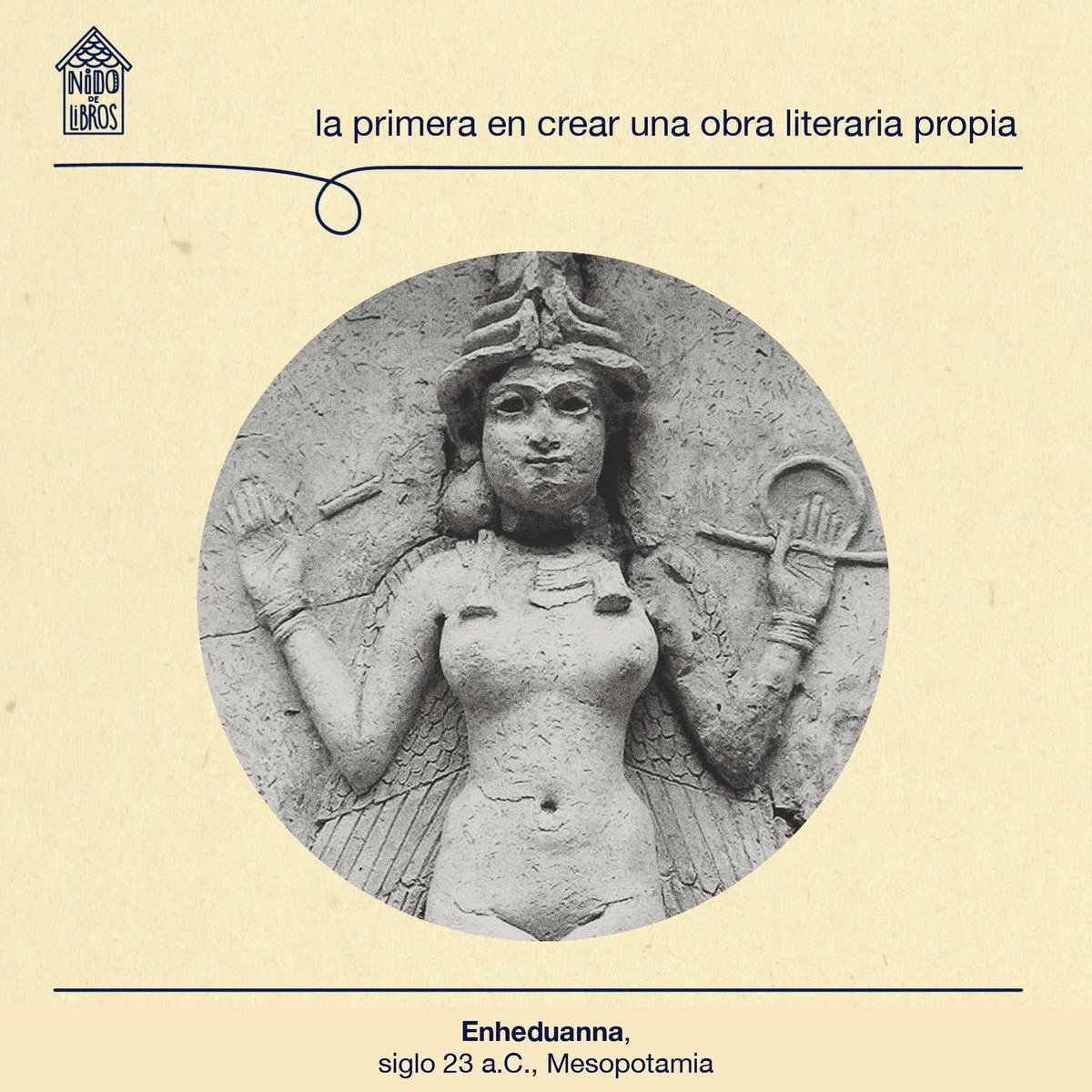 Nido de Libros tweet media