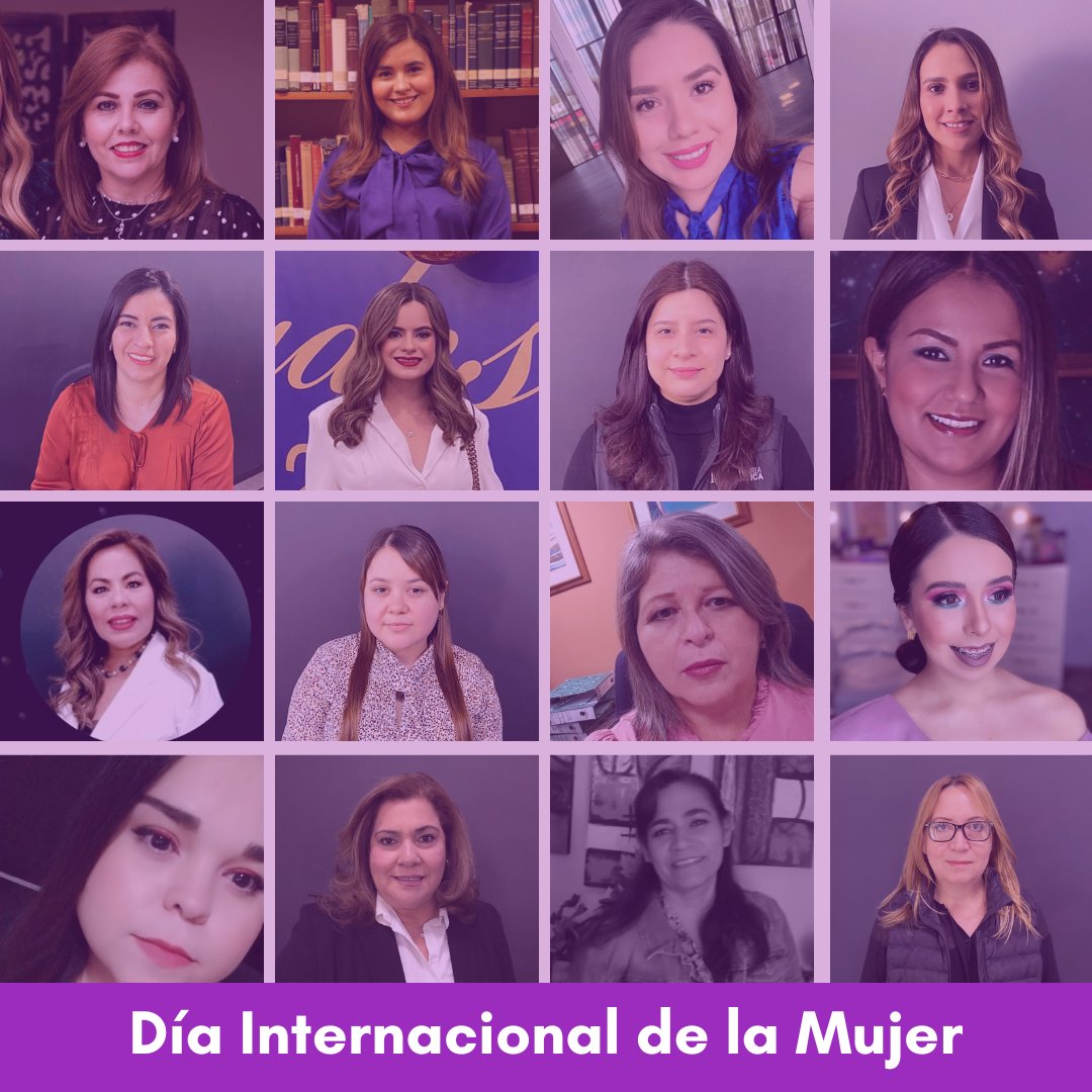 Notaría Pública 102 tweet media