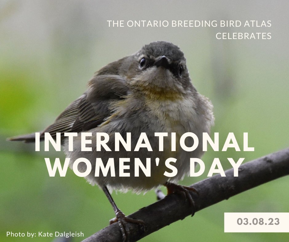 (1/2)As we celebrate International Women’s Day, the Atlas would like to take a moment to appreciate all the remarkable women that have made this project run so smoothly over the years.