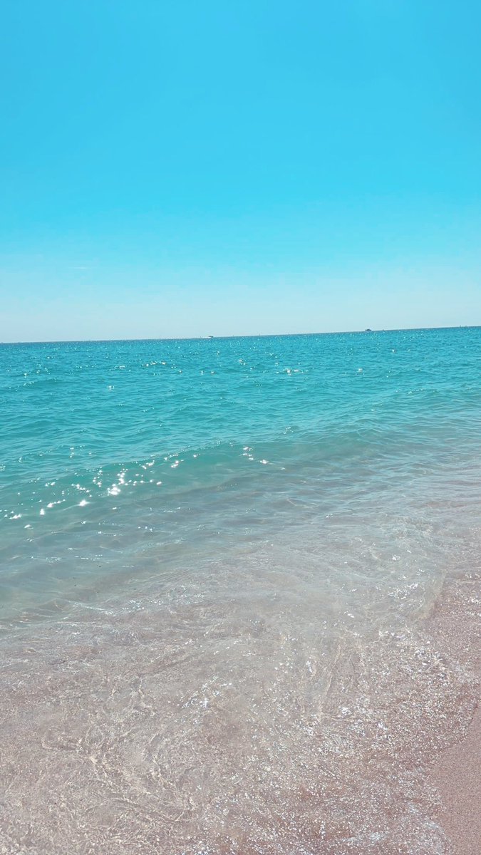 pamelarrg's tweet photo. 🐳🐚✨🌊 https://t.co/haZnU667di