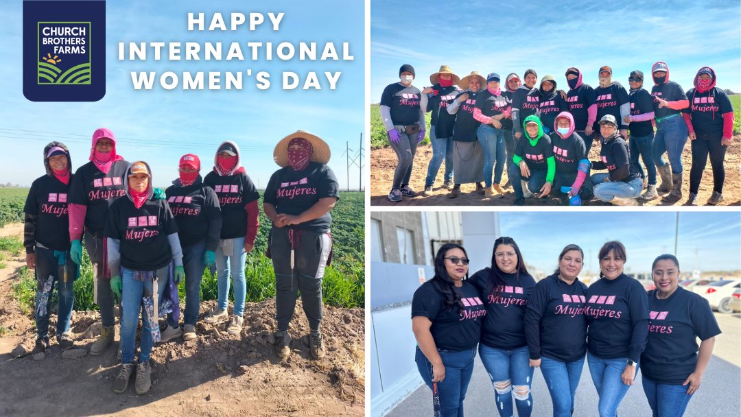 Church Brothers Farms tweet media