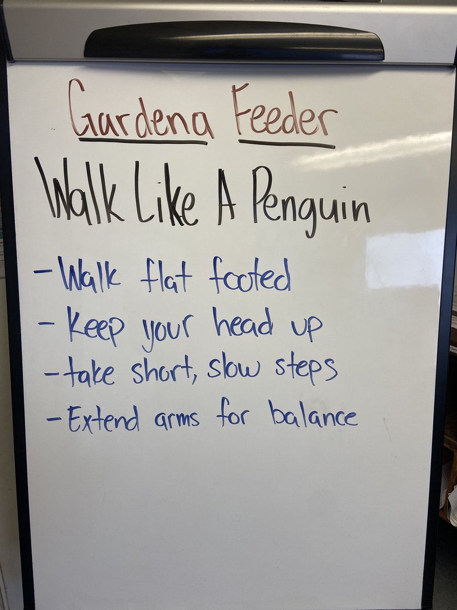 GardenaFeeder's tweet photo. Wellness Wednesday! Walk like a penguin when changing conditions @davidpnaranjo @RaiderN4L_24_ @ArturoM82410239 @LouRivieccio @Buckeyelouie @logisticsboss @divine2wincom @melirere https://t.co/wpQuGD8a9x