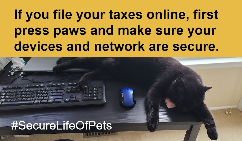 umichTECH's tweet photo. If you file your taxes online, first you should secure your devices ๐ฑ and home network ๐ก. #TaxFraud #WebSafeWednesday #SecureLifeOfPets https://t.co/0HnleFM11c https://t.co/5qnn48QQsG